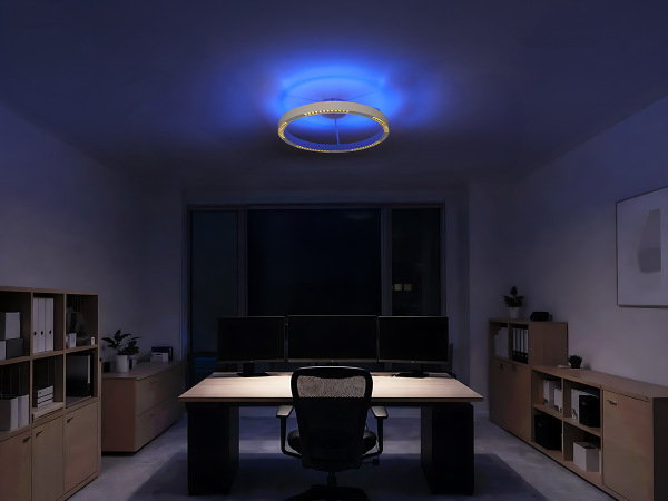 LINIA stropné svietidlo 660 - 10010 2